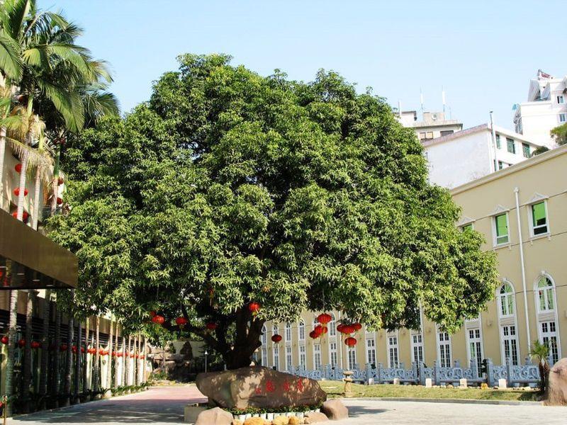 Hilford Hotel Xiamen Esterno foto
